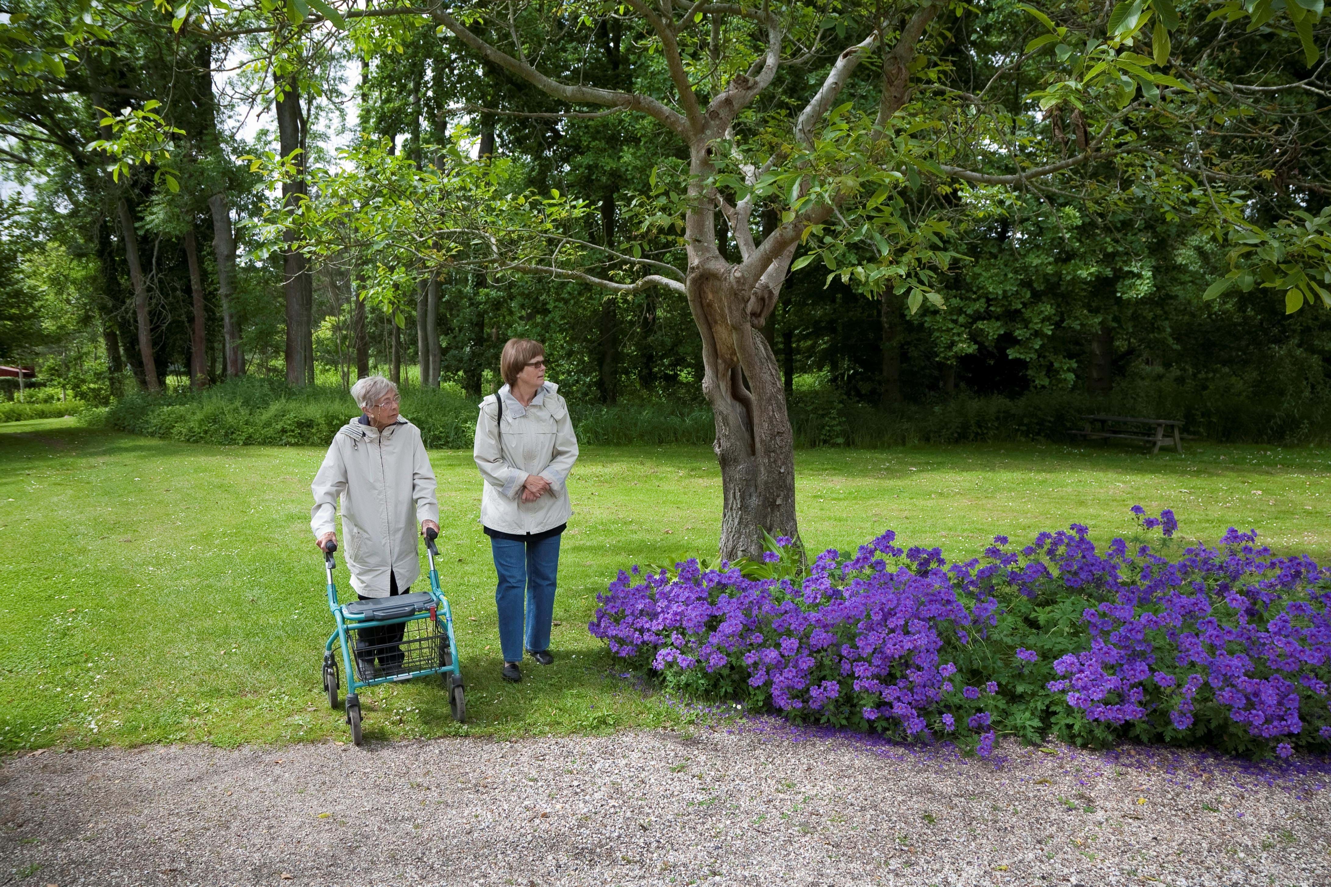 Ældre damer på gåtur med rollator